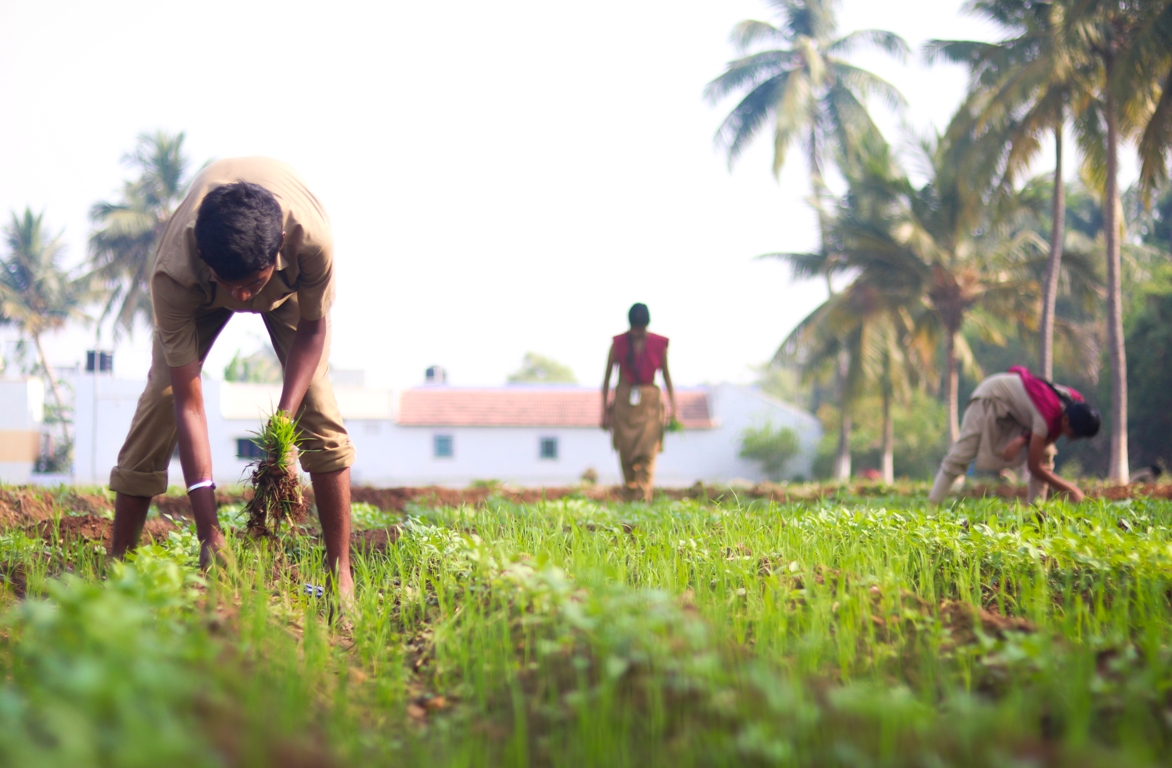 program-offered-kumaraguru-institute-of-agriculture