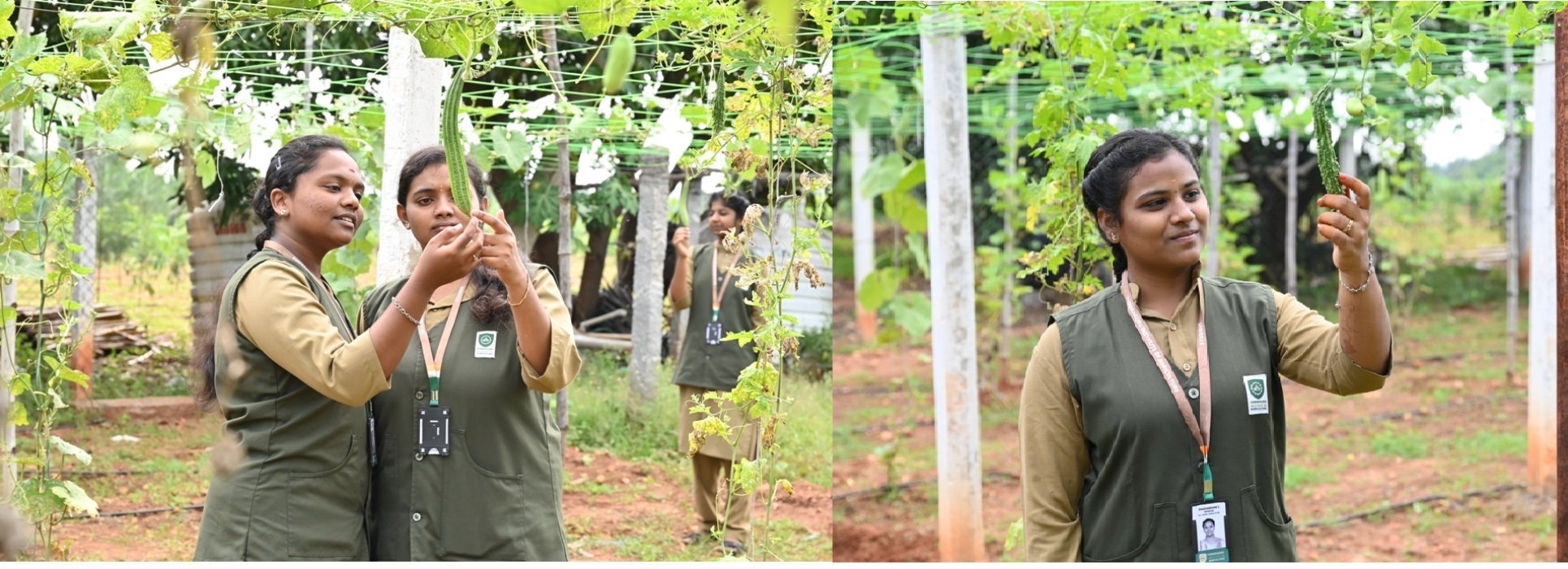 Home Kumaraguru Institute of Agriculture